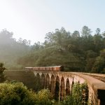 Rondreis Sri Lanka: Een Tropisch Avontuur vol Cultuur en Natuur